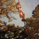 Kevin Maloney as a younger man, climbing a flagpole as a party trick.
